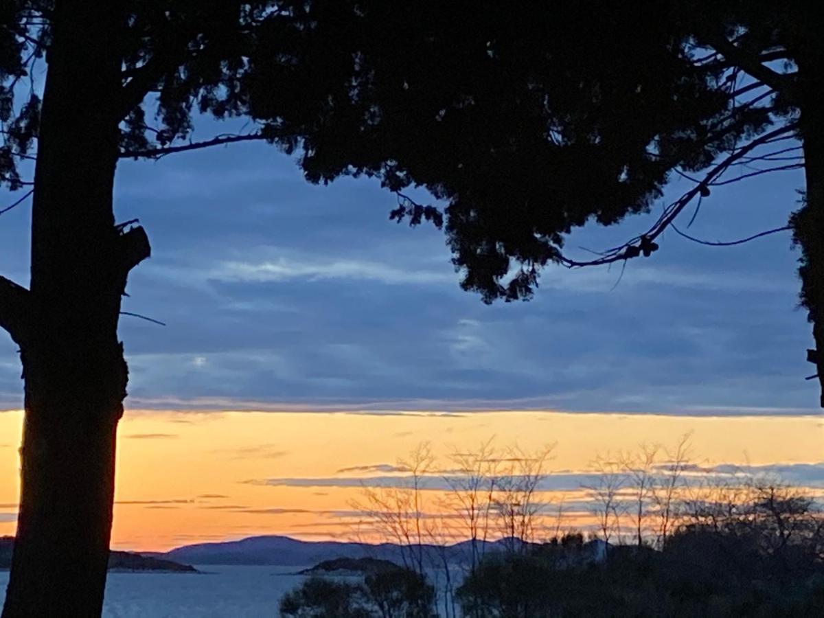 Villa Lu-Ma Turanj Dış mekan fotoğraf